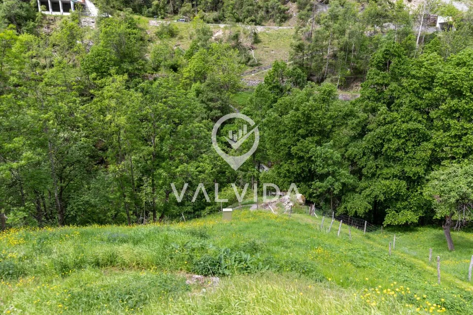 Natura pura - Casa vacanza in posizione pittoresca e tranquilla – foto 16 di 16