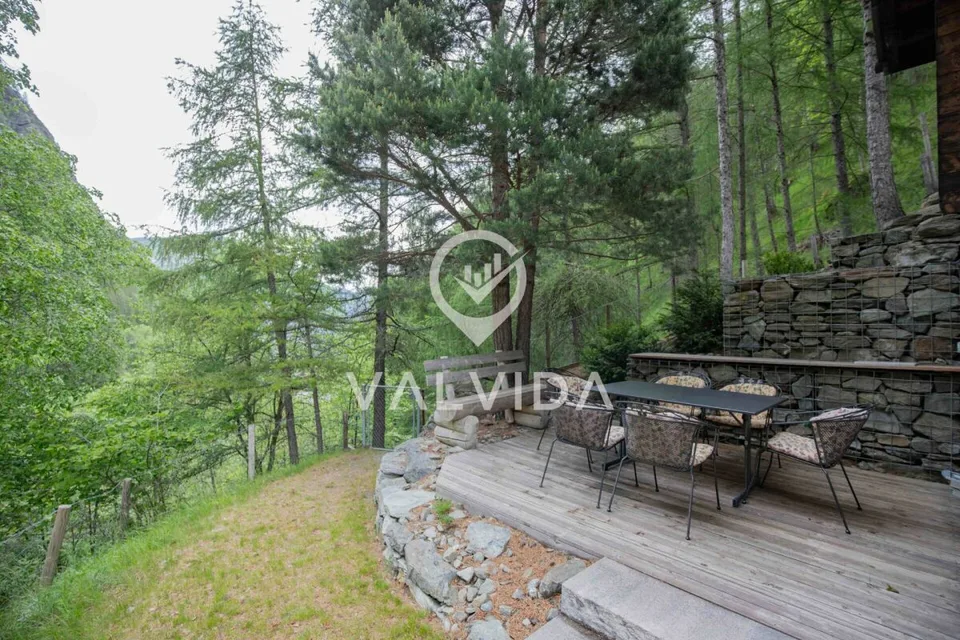 Natura pura - Casa vacanza in posizione pittoresca e tranquilla – foto 13 di 16