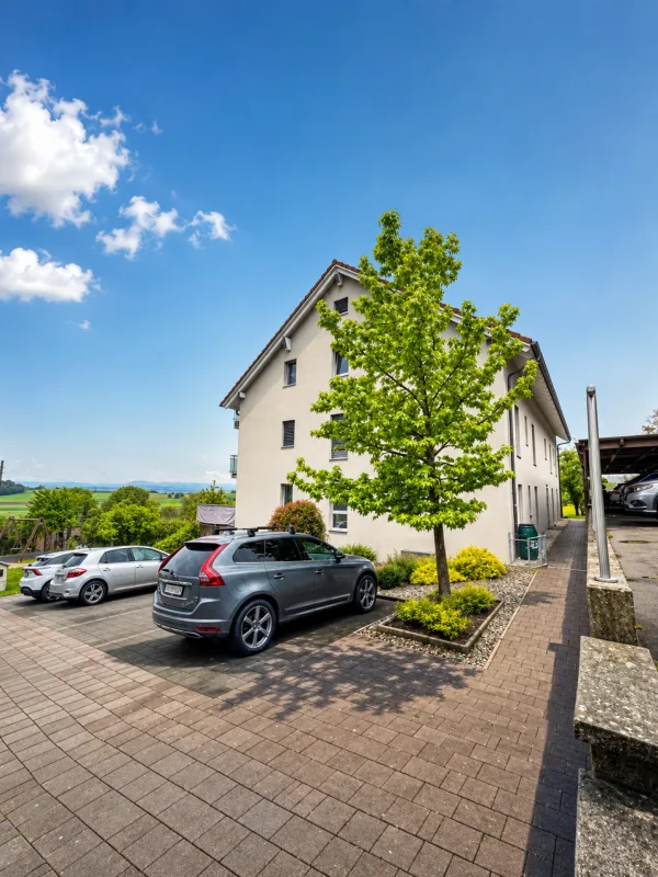 Local aménagé de 38 m² avec salle de douche