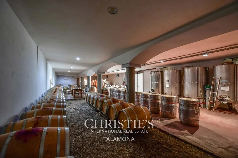 Historisches Weingut und Wohnhaus im Herzen von Barolo – Foto 10 von 13