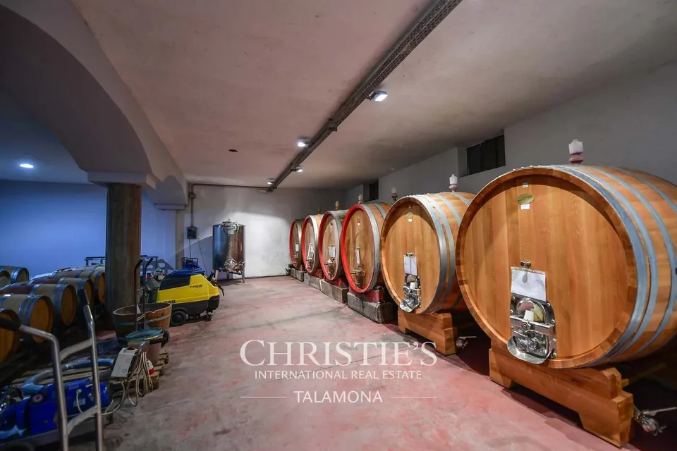 Historisches Weingut und Wohnhaus im Herzen von Barolo – Foto 8 von 13