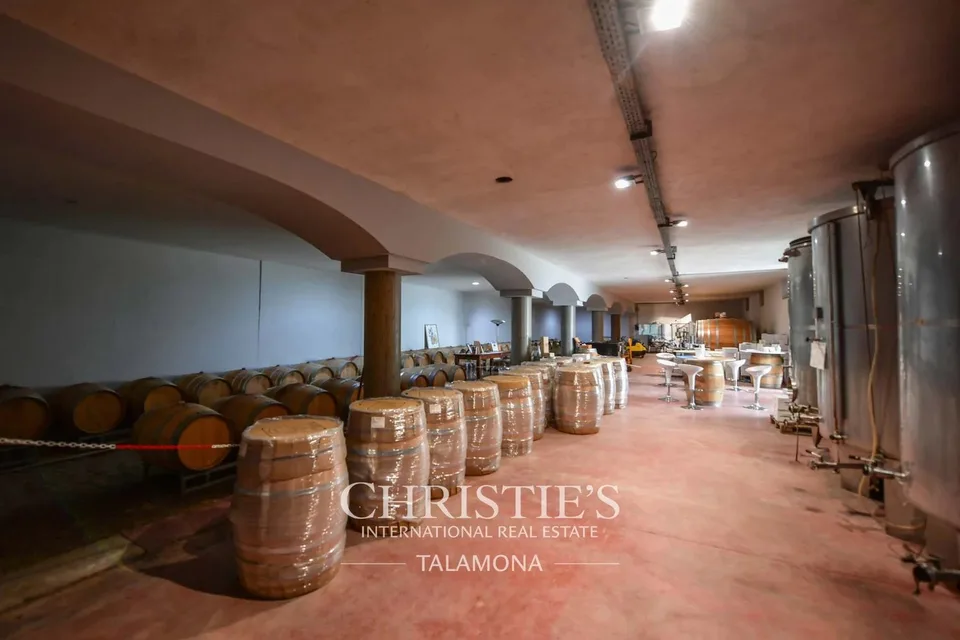 Historisches Weingut und Wohnhaus im Herzen von Barolo – Foto 11 von 13