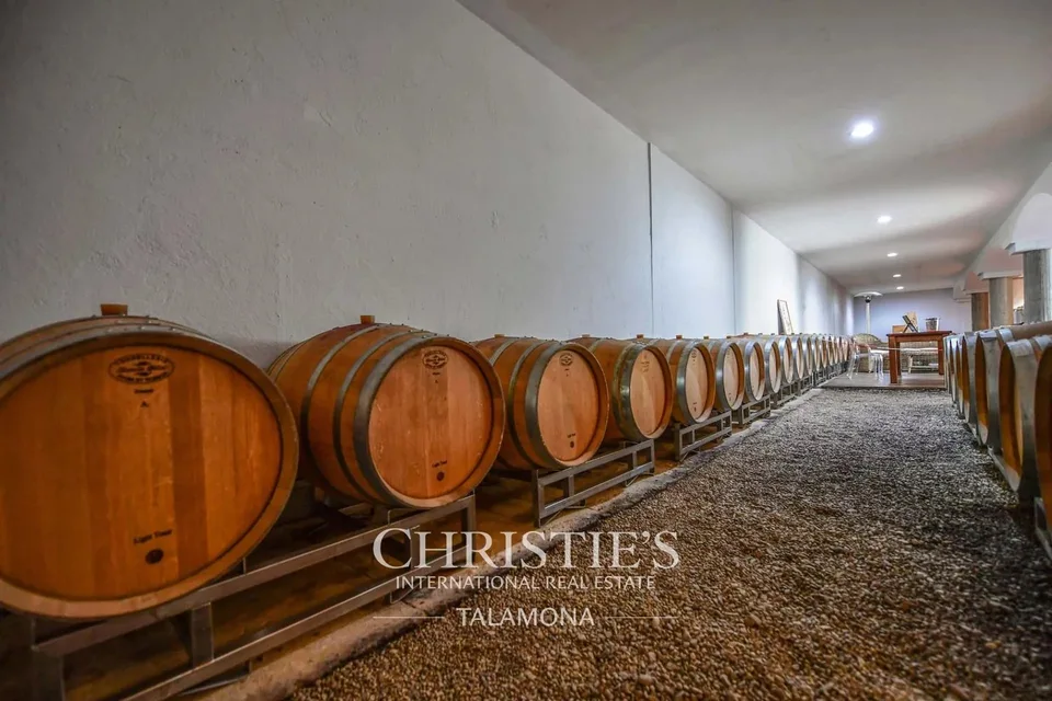 Historisches Weingut und Wohnhaus im Herzen von Barolo – Foto 12 von 13
