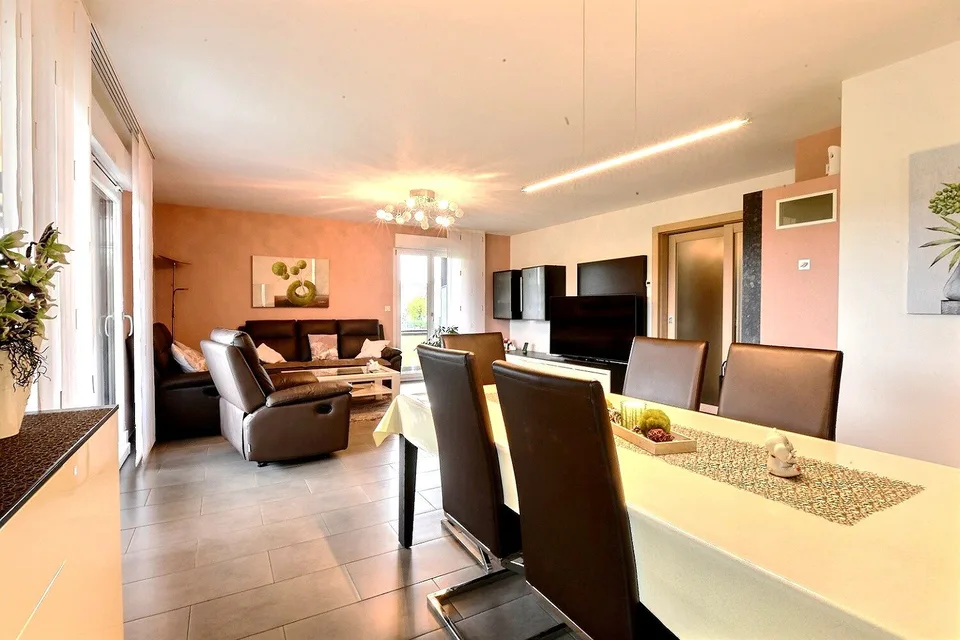 Magnifique maison individuelle moderne à Bartenheim – foto 16 di 23