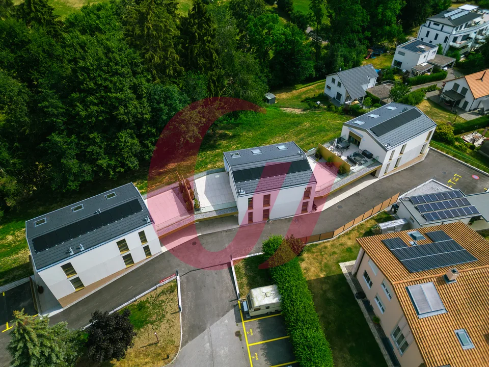 Außergewöhnliche Immobilien in Sorens!