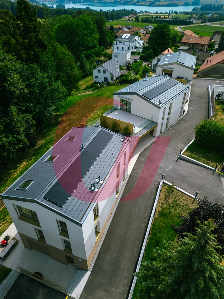 Außergewöhnliche Immobilien in Sorens!