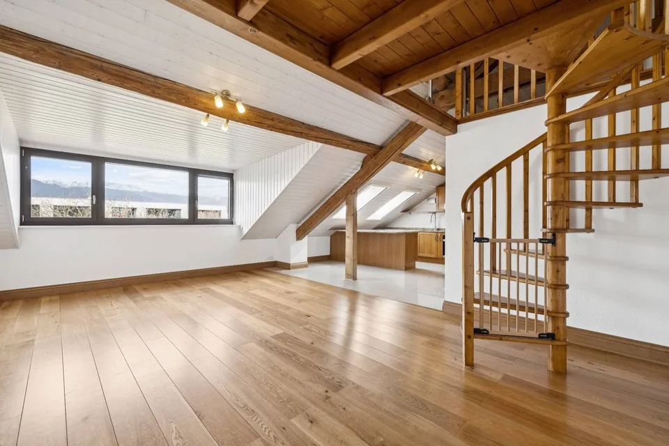 SPACIEUX APPARTEMENT DE CHARME AU COEUR DU VILLAGE DE MEYRIN
