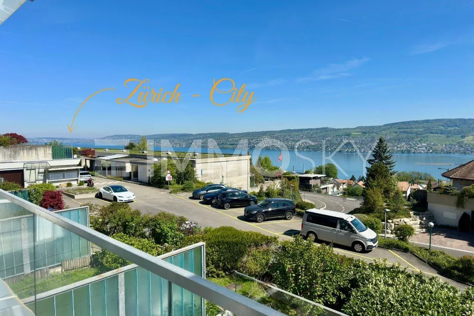 Votre nouvelle maison avec vue panoramique de Zurich aux Alpes