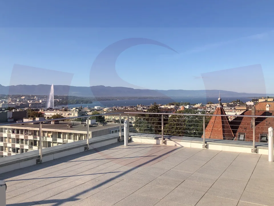 Unique Penthouse au centre ville