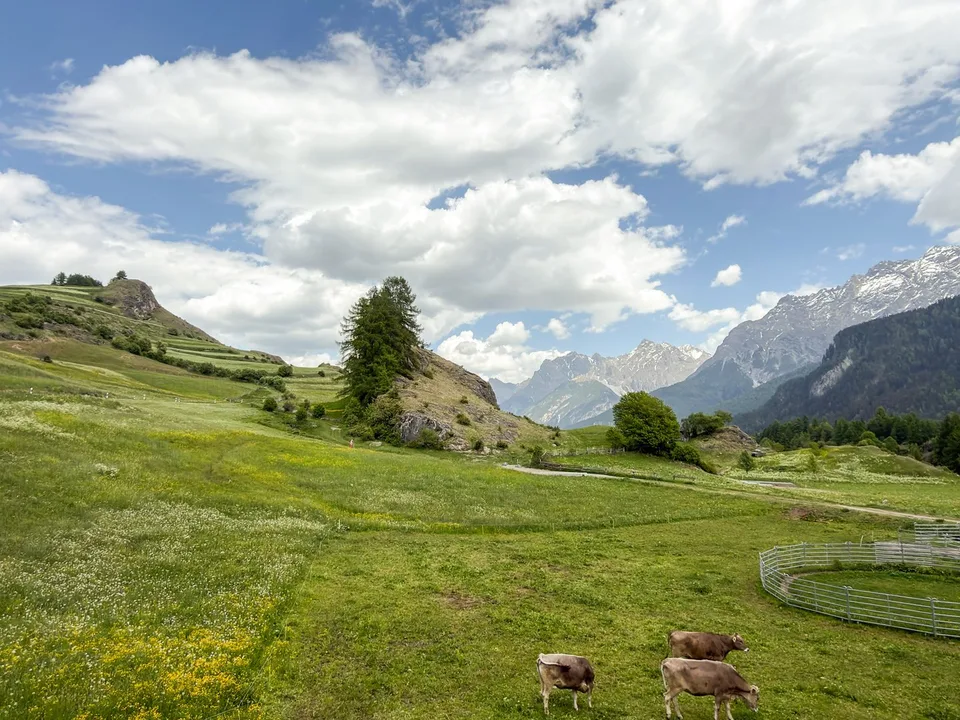 Incantevole appartamento di 4,5 locali con panorama montano ad Ardez
