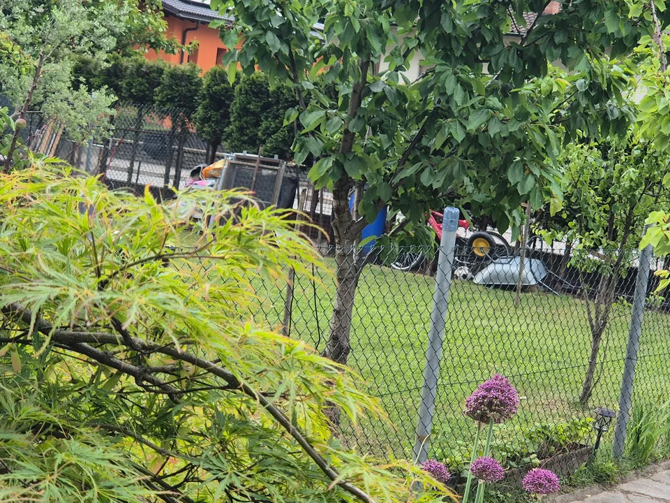 Casa unifamiliare a Pollegio – Zona Pedemonte – foto 9 di 21
