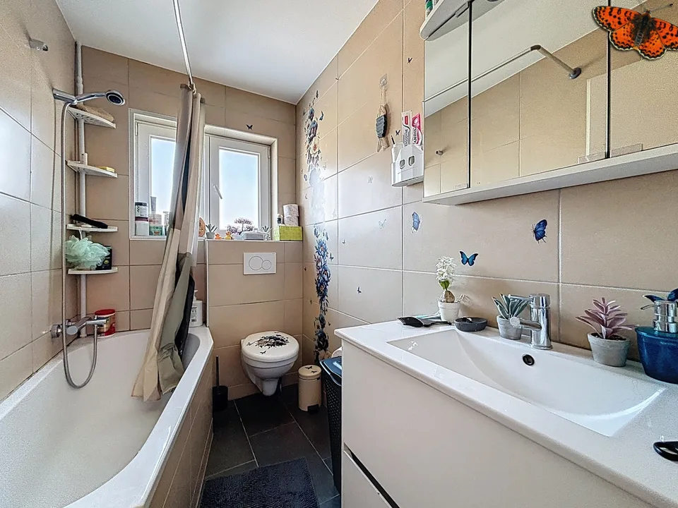 Chalet de 3 appartements à Planfayon