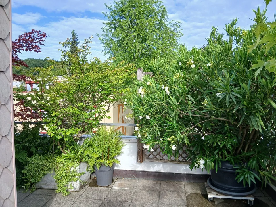 Attikawohnung mit Terrasse zum Verweilen – Foto 14 von 22