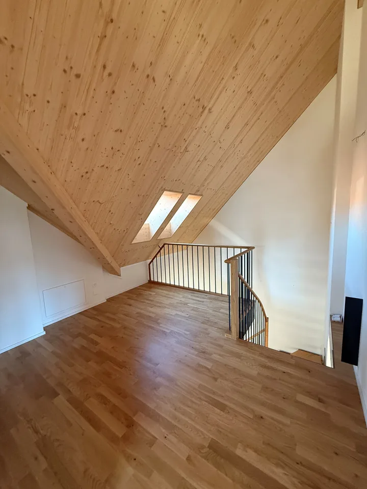 Appartement duplex magnifique