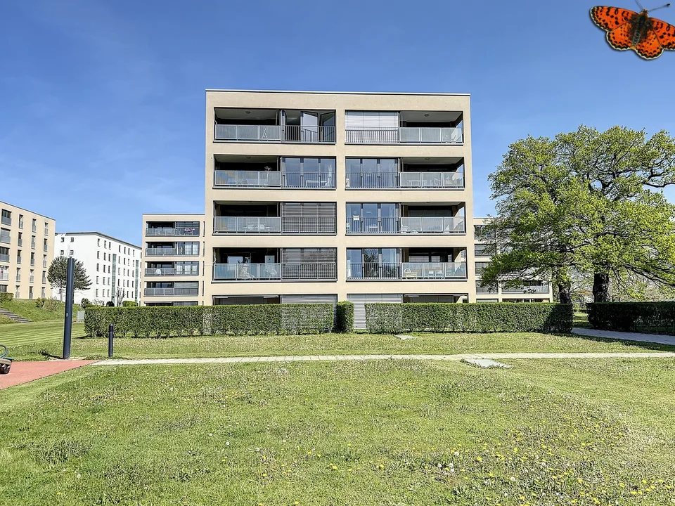 Cormanon - Places de parc intérieures