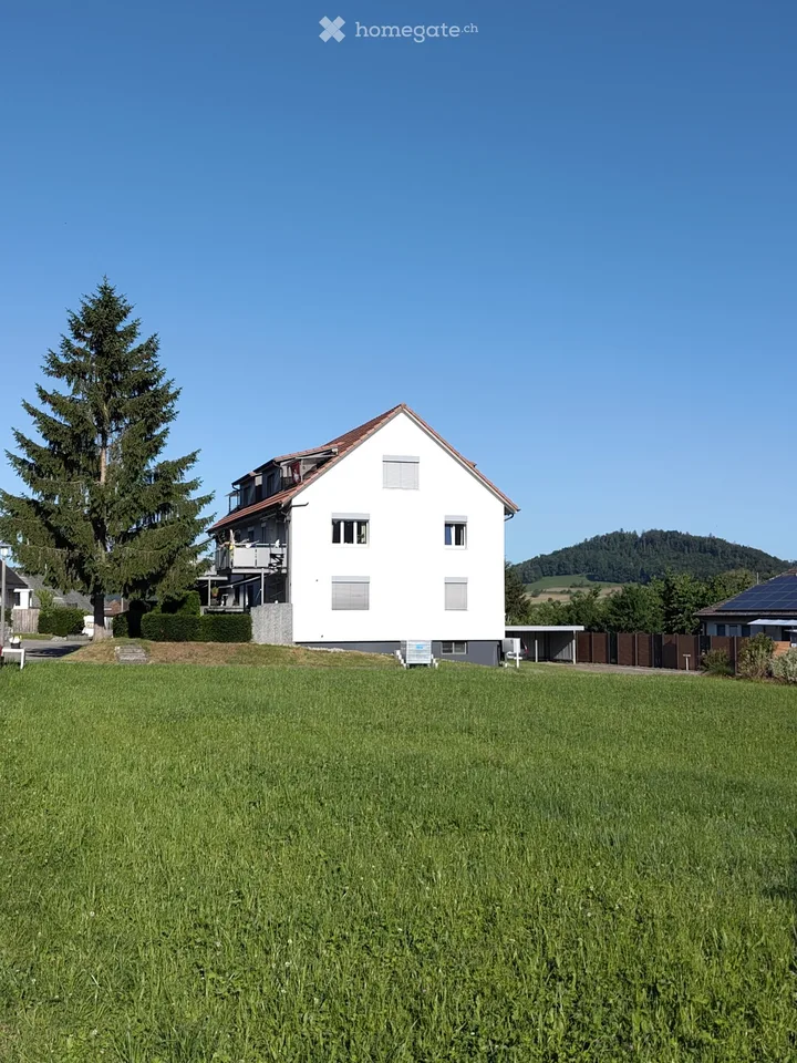 Schöne 2.5  Zimmerwohnung