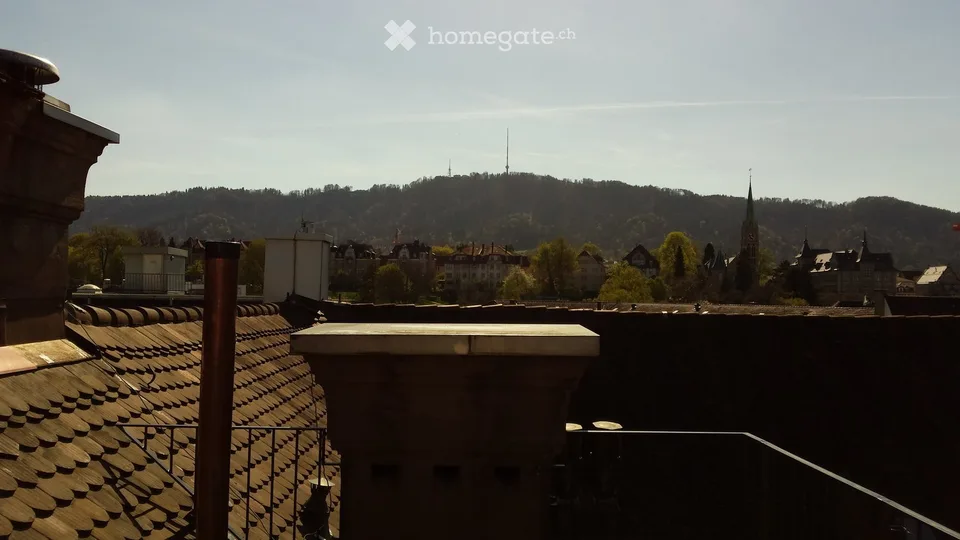 Heimelige Dachwohnung mit privater Dachterrasse im Kreis 3