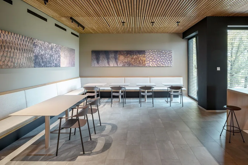 Border-area office or practice spaces - AT, direct motorway access – photo 22 of 30