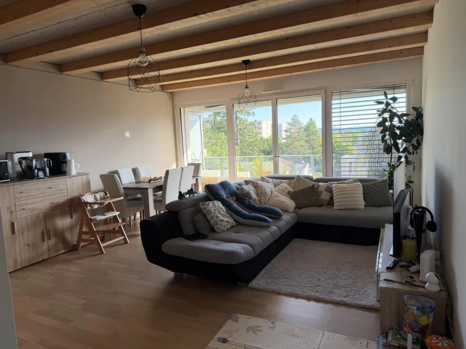 3.5 room apartment recent in Meyrin