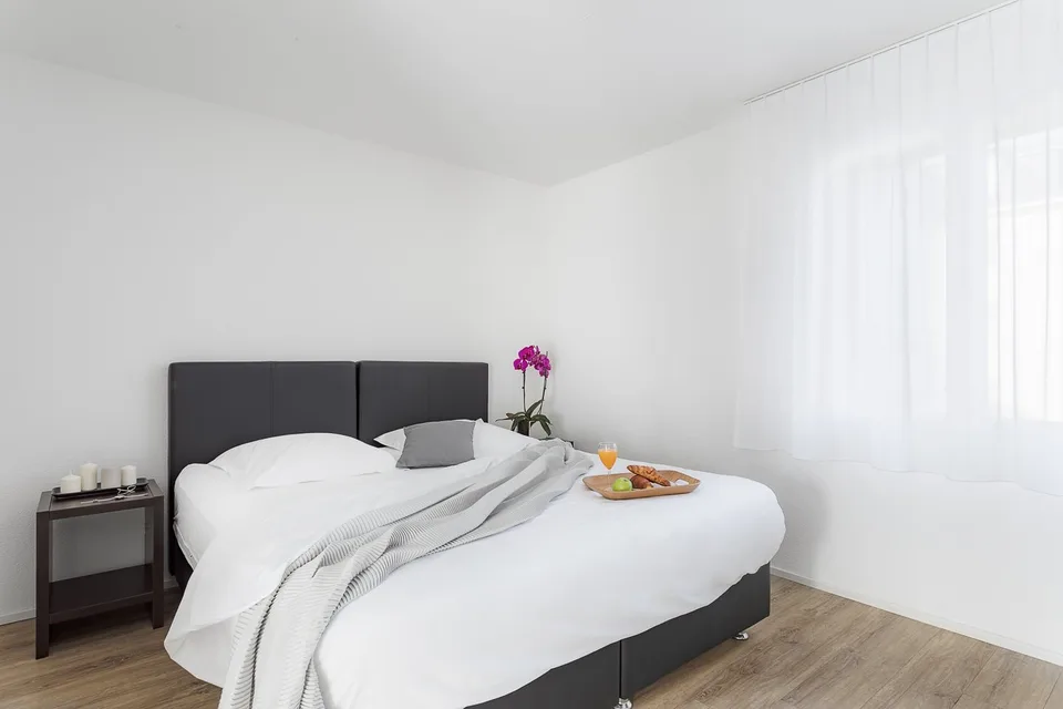 Appartamento Moderno con 2 Camere a Wiedikon