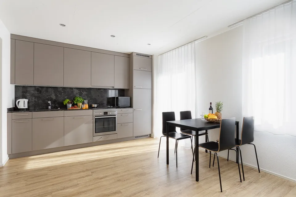 Modernes  Apartment mit 2 Schlafzimmern in Wiedikon