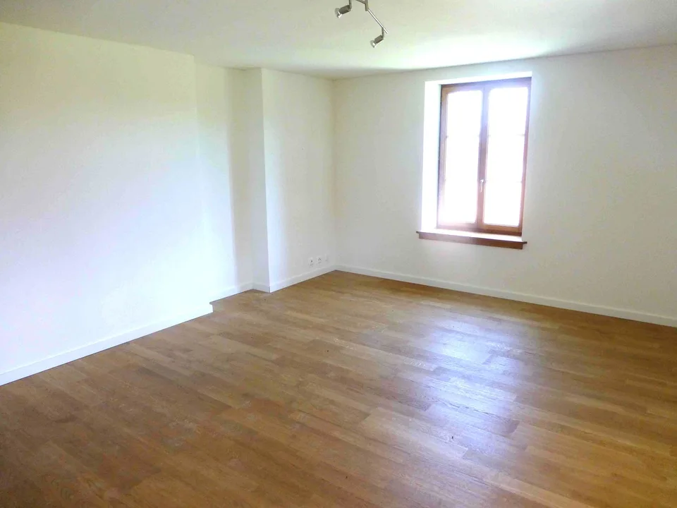 Meraviglioso appartamento di 6 locali a Cartigny