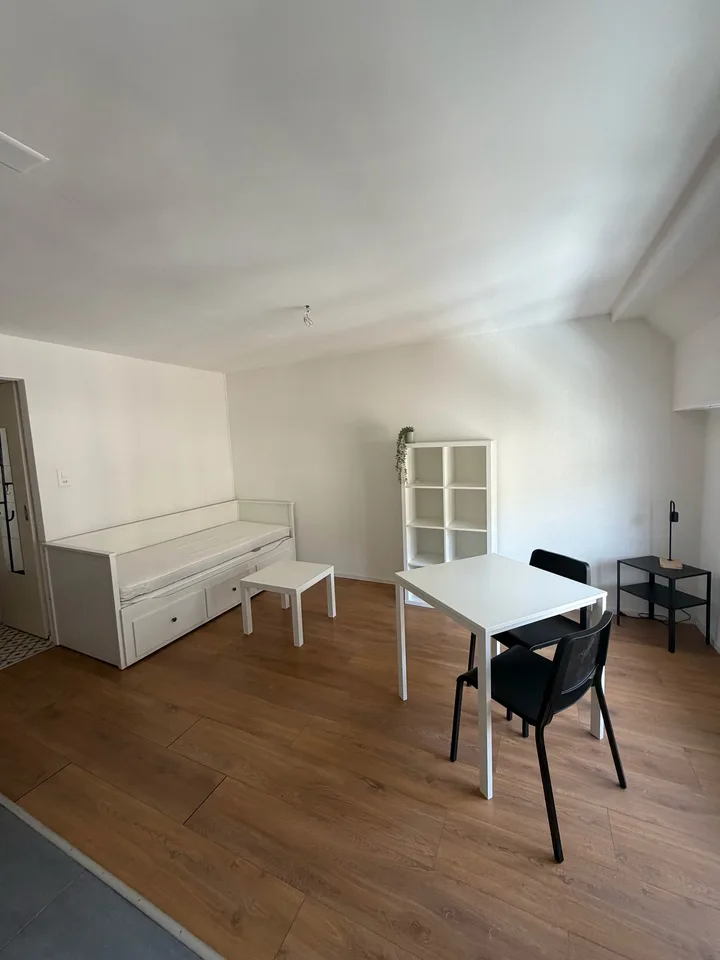 Wohnung mit 1,5 Zimmern im Zentrum von Neuchâtel