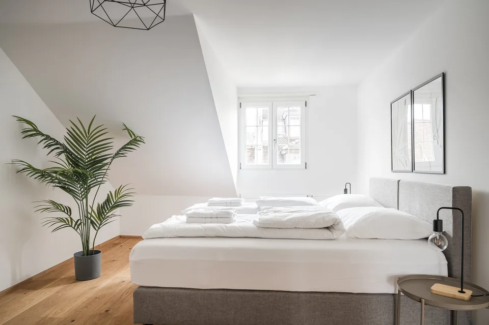 Charming 3.5-Room Apartment with Modern Amenities in Basel's Historic Center