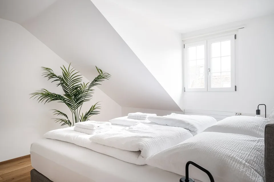 Charming 3.5-Room Apartment with Modern Amenities in Basel's Historic Center