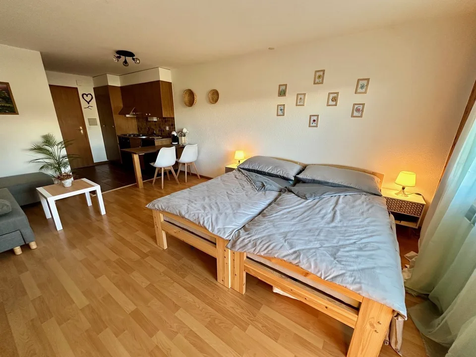 Eperons du Ciel n176, lovely studio located in Nax