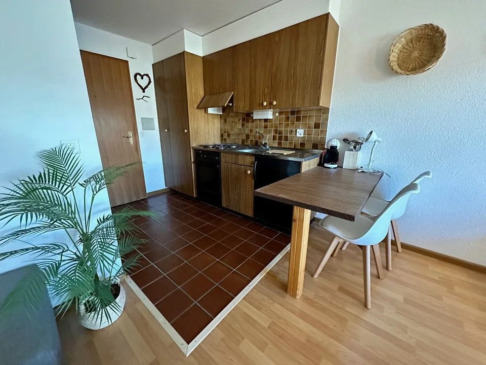 Eperons du Ciel n176, lovely studio located in Nax
