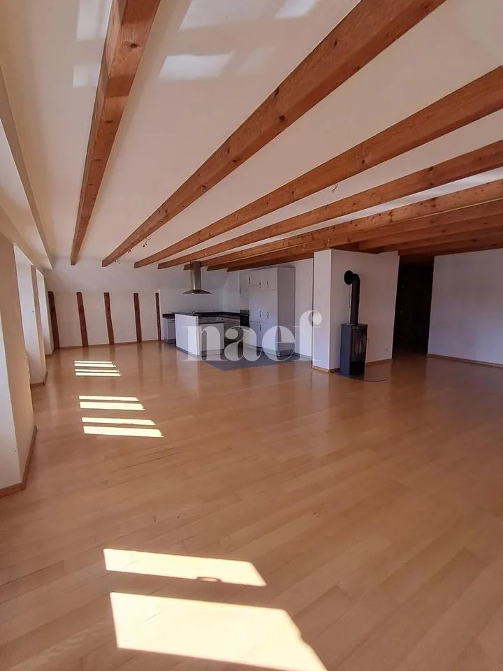 Superbe et grand logement lumineux de 5 pièces
