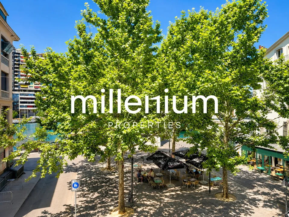 Prächtige 4-Zimmer-Wohnung mit Möbeln und atemberaubendem Blick auf den Rhein