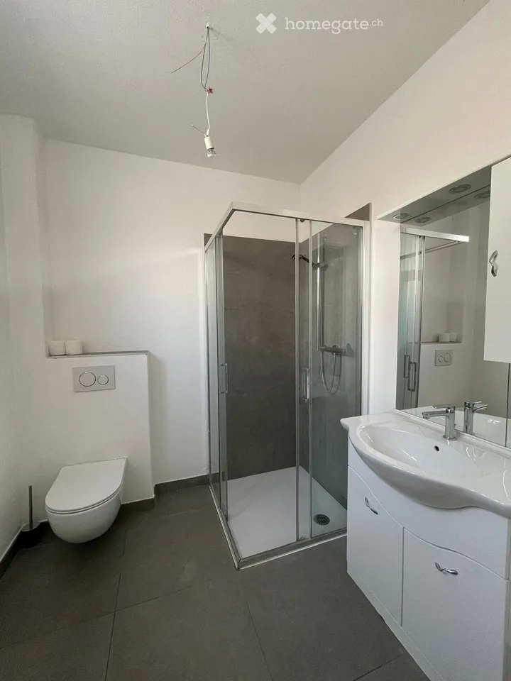 Zum sofortigen Bezug hellen Apartment in Besazio