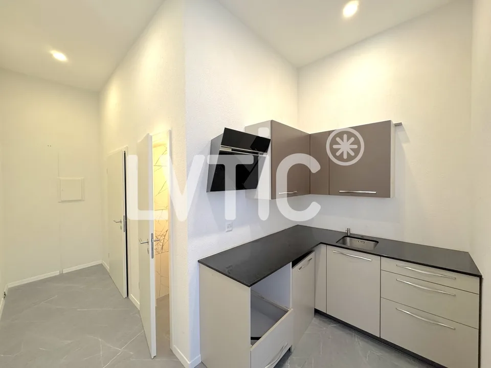 Showroom, premises, workshop of 225 m2 for rent near Villeneuve