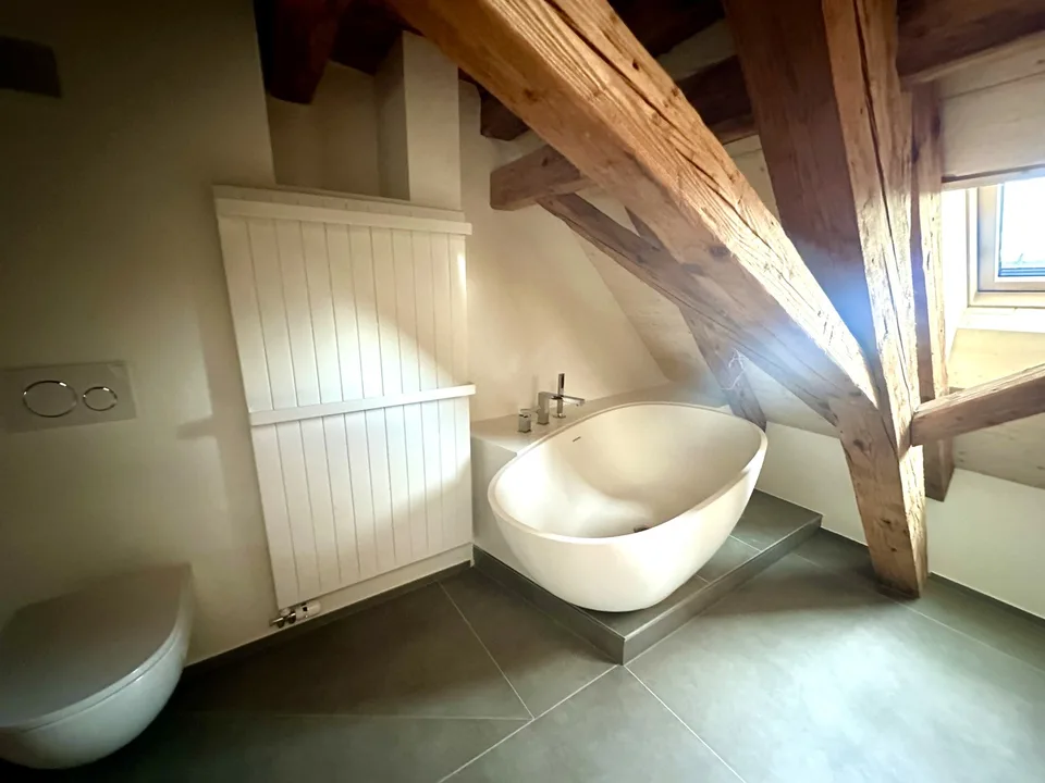 2.5-room loft apartment with exclusive rooftop terrace - First rental after total renovation – photo 8 of 13