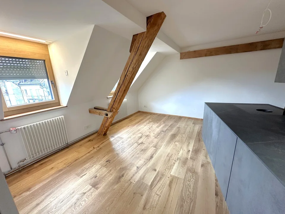 Appartement loft de 2,5 pièces avec terrasse sur le toit exclusive - Première location après rénovation totale