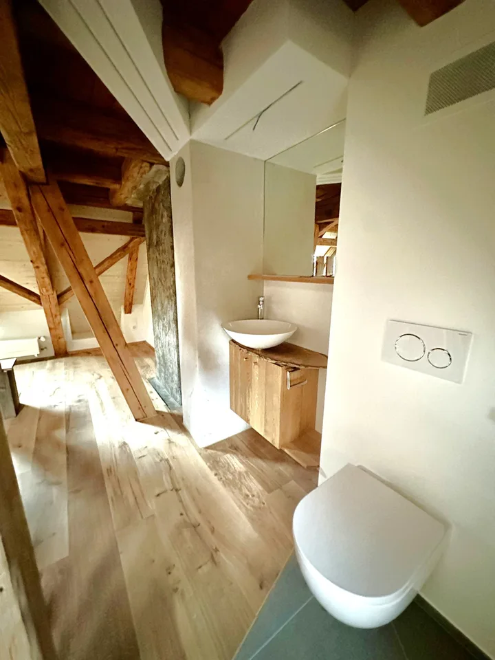 2.5-room loft apartment with exclusive rooftop terrace - First rental after total renovation – photo 9 of 13