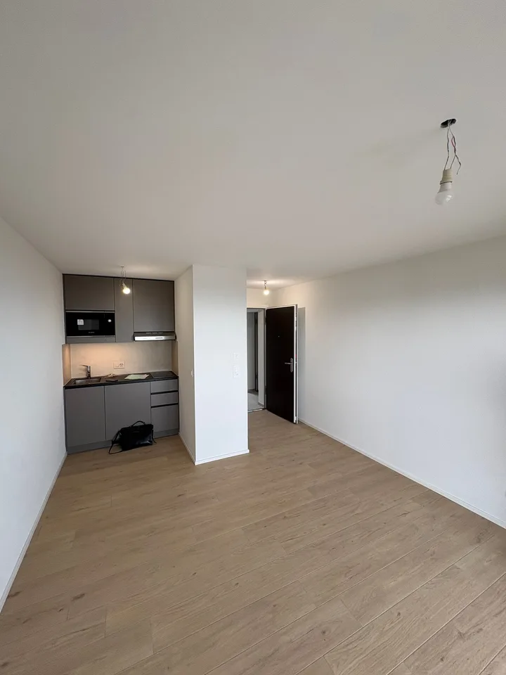 Helles und modernes Studio mit Seeblick