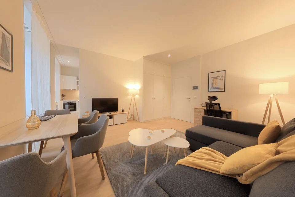 Comfortable 1-Bed Furnished Apartment - 50 m² - City Center with Utilites Included