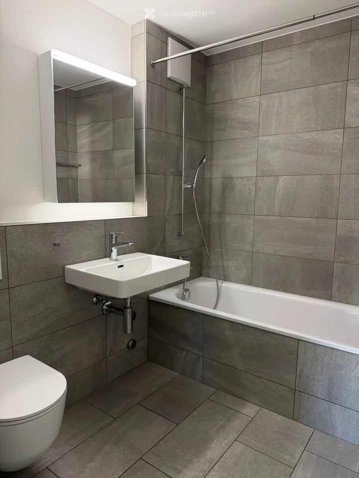 Bright apartment in a quiet environment in Meggen