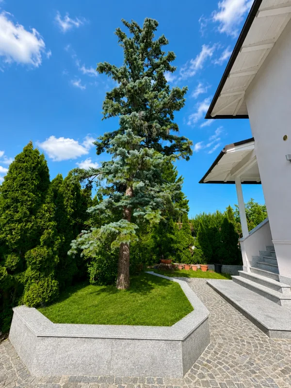 Elegant & Spacious 7-Room Villa in Chambésy