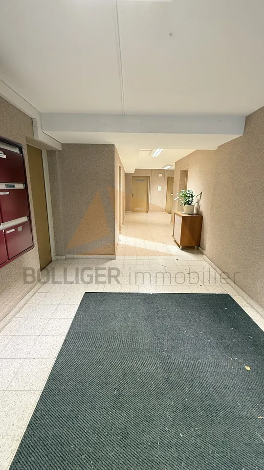 ZU VERKAUFEN 3.5-ZIMMER-WOHNUNG MIT GARAGE BOX
