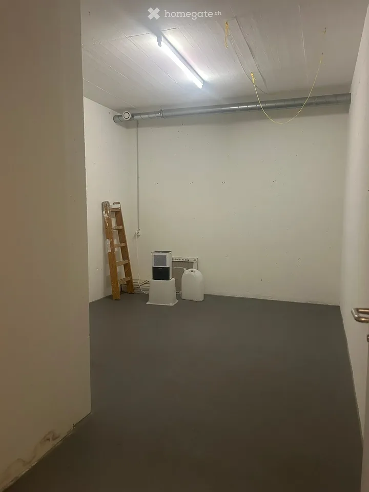 Edle 5.5-Zimmer-Terrassenwohnung in Pfeffingen – Foto 18 von 18