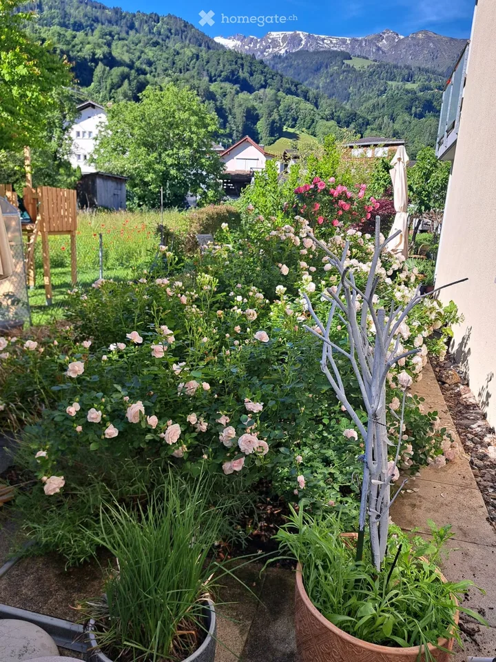 Appartement de jardin ensoleillé avec vue sur les montagnes.