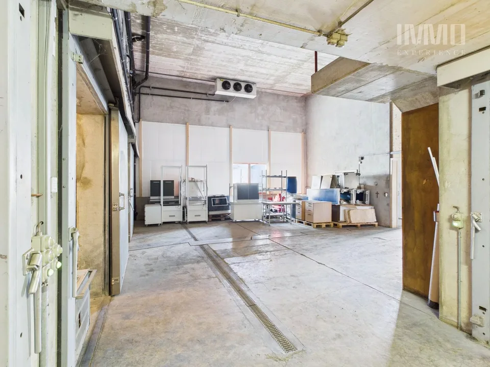 Halle Lager mit Kühlkammern und zwei Studios – Foto 9 von 13