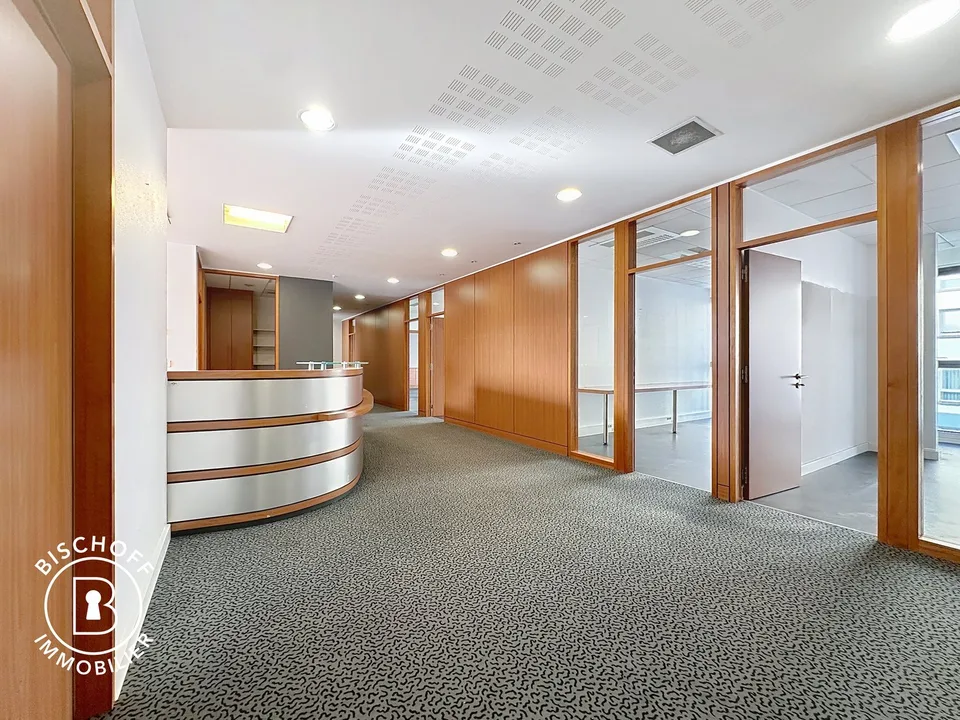 Moderne Bürofläche im Herzen von Saint-Louis