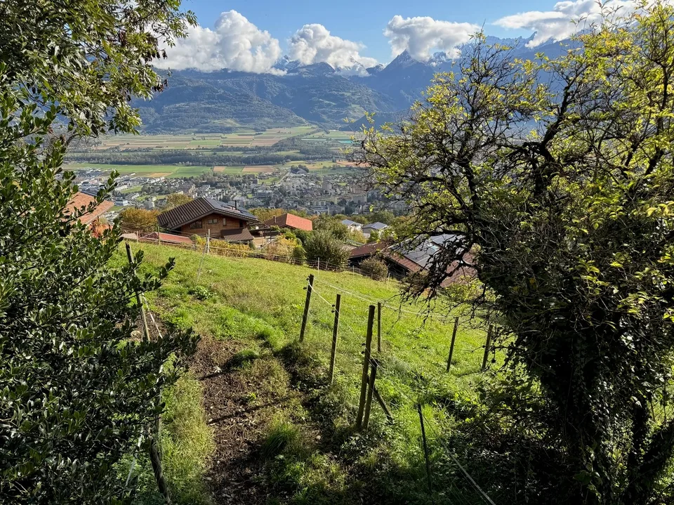 Terrain / Les Neyres / Libre de mandat / EXCLUSIVITE