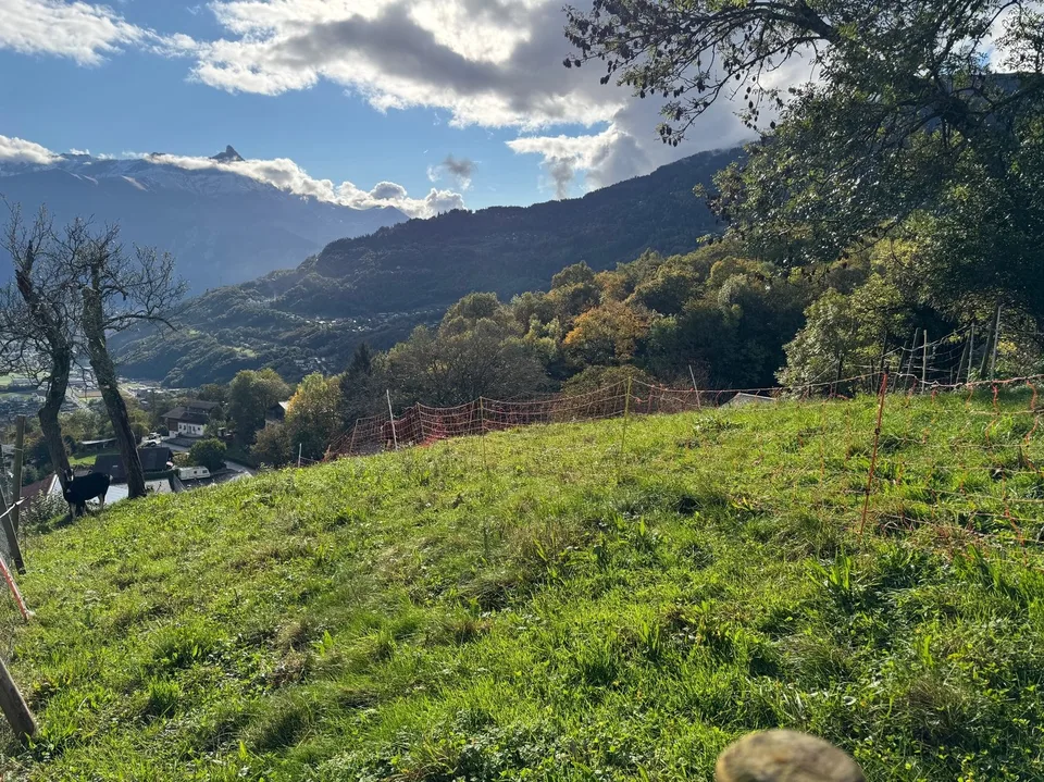 Terrain / Les Neyres / Libre de mandat / EXCLUSIVITE