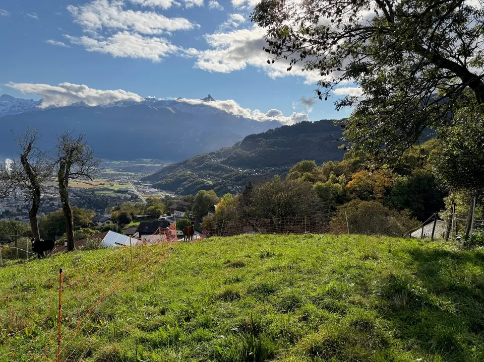 Terrain / Les Neyres / Libre de mandat / EXCLUSIVITE